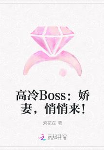 高冷boss超暖