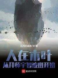 从拜师宇智波斑开始TXT精校版