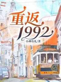 重返1992一颗小石头