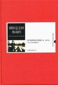 钢铁是怎样炼成的经典内容