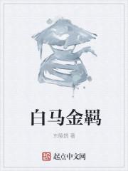 白马金羁辽海东打三个数字