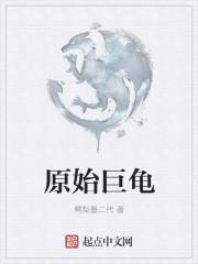 乌龟长什么样