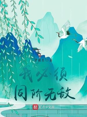 我必须同阶无敌t