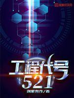 工程代号521 创里有作