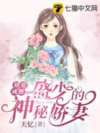 盛少的闪婚娇妻免费