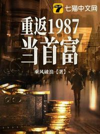 重返1987当首富txt奇书网