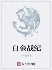 白金战队