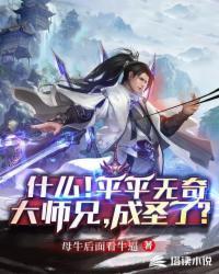 平平无奇大师兄身世