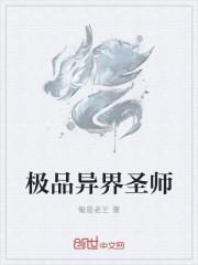 极品异界圣师免费阅读