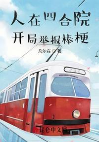 人在四合院开局举报棒梗爆炸团