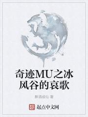 奇迹mu冰风谷攻城