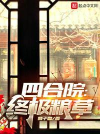 四合院终极粮草txt