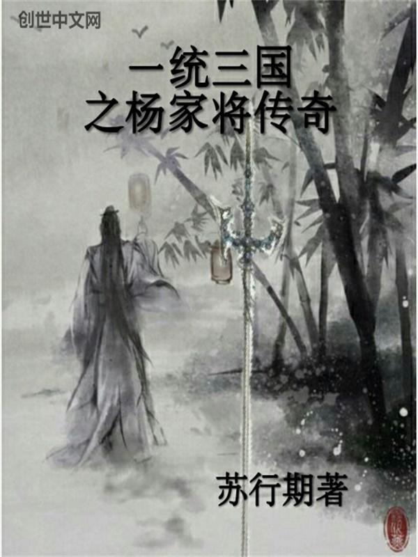 杨家将传奇一线