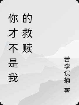 你不是救赎什么意思