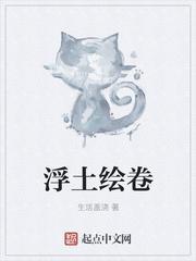 浮世绘 套套