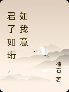 君子如珩原著