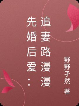 先婚后爱追妻快乐