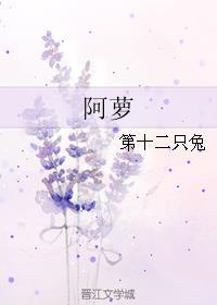 阿萝陆南沉