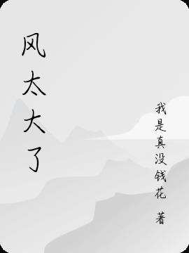 风太大了吧 歌曲