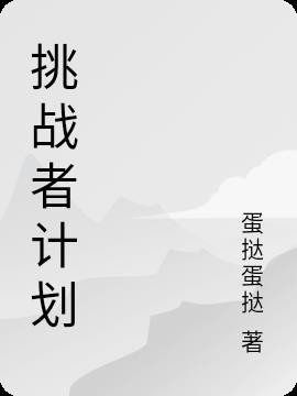 挑战者创业计划书