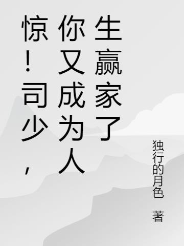 司少帅免费阅读完整版