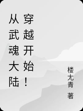 穿越武魂大陆系统