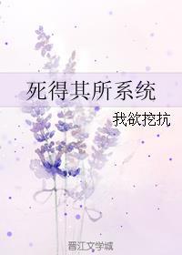 死得其所系统无防盗