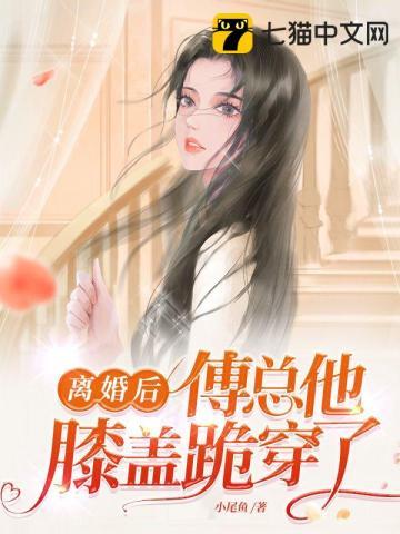 离婚后傅总他追悔莫及杜晚风