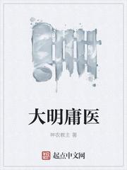 大明名医传