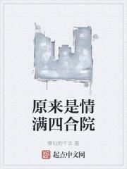 情满四合院什么改编的