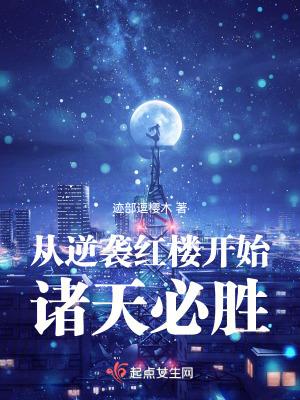 从红楼开始打穿诸天异世4攻防