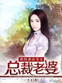 我的冰山美女总裁老婆 一大王