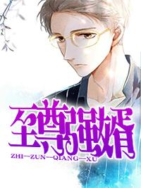 至尊强婿最新更新章节完整版