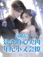 景少的闪婚新妻