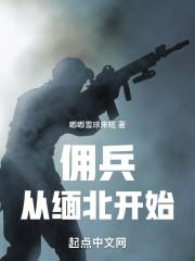 我在缅北当佣兵笔趣阁