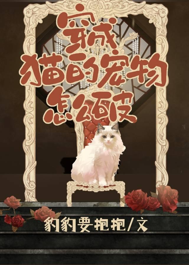 猫宠物证怎么办理