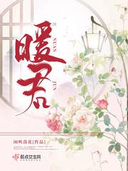 暖君免费阅读全文无广告