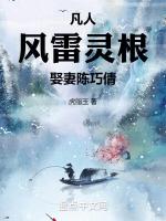 风雷翅凡人修仙传