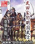 武田家的明国武士精校