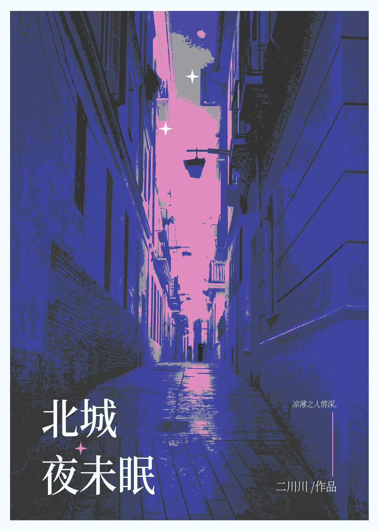 北城夜未眠免费阅读txt