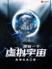 我有一个虚拟宇宙txt精校版