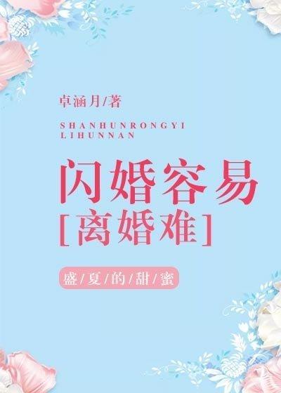 闪婚容易离婚难TXT