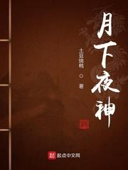 月下夜神顶点