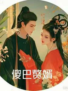 傻子赘婿无弹窗