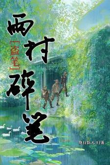 盗笔雨村碎笔 煲仔饭大王