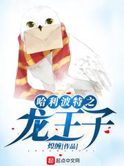 哈利波特之龙王子tvt