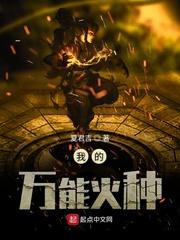 我的万能火种epub