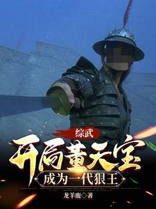 综武开局董天宝成为一代狠王笔趣阁