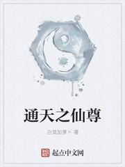 通天仙尊 丁浩