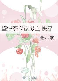 绿茶鉴婊专家